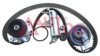 METELLI 3007622 Water Pump & Timing Belt Kit